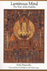 luminous.gif (12229 bytes)