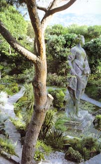 garden4.jpg (28481 bytes)
