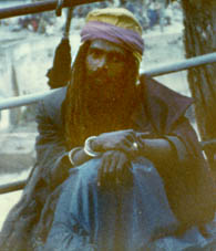 yogi2.jpg (16544 bytes)